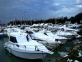 DSC00661