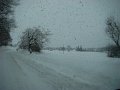 DSC00696