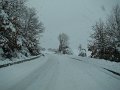 DSC00700
