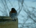 DSC00713