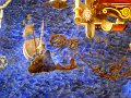 DSC00759