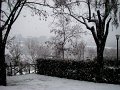 DSC01011