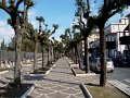 DSC01273