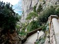 DSC01197