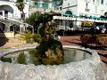 DSC01403