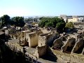 DSC01481