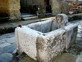 DSC01505