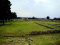 DSC01721