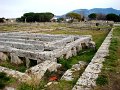DSC01774