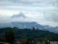 DSC01785