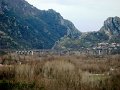 DSC01810