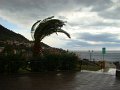 DSC01932