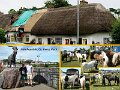 095CoKerryPuckText