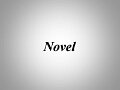 08Novel