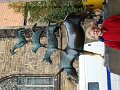 DSC04741