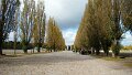 DSC05020