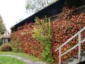 DSC05364