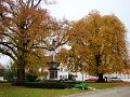 DSC05381