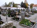 DSC05386