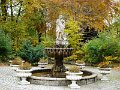 DSC05416