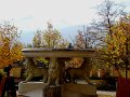 DSC05470