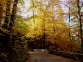DSC05480