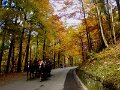 DSC05498