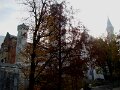 DSC05501