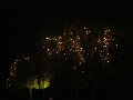 DSC05823