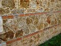 DSC06094