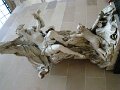 DSC06391