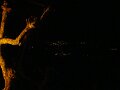 DSC07484