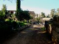 DSC08341