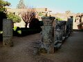 DSC08353