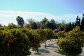 DSC08490 - Copy