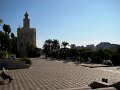 DSC08503 - Copy