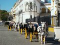 DSC08685
