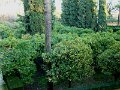 DSC08780