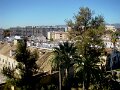 DSC08891