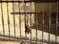 DSC09000