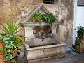 DSC09006
