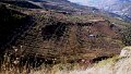 DSC09201