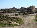 DSC09295