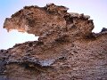 DSC09306