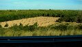 DSC09421