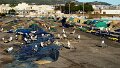 DSC09567