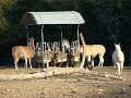 DSC00020