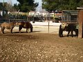 DSC00033