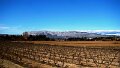 DSC00089