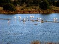 DSC00138